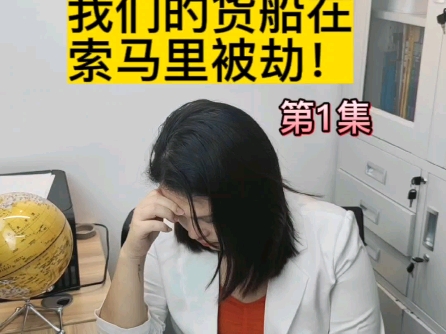 你知道有种谈判法叫索马里式谈判法吗?哔哩哔哩bilibili