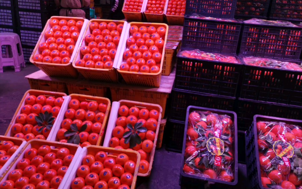 重庆最大水果批发市场逛逛