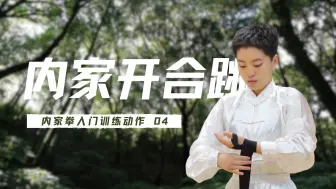 Download Video: 手把手教你内家拳入门动作#4：开合跳！练习发力的基本功：一个动作教会你腰胯脊柱如何传力