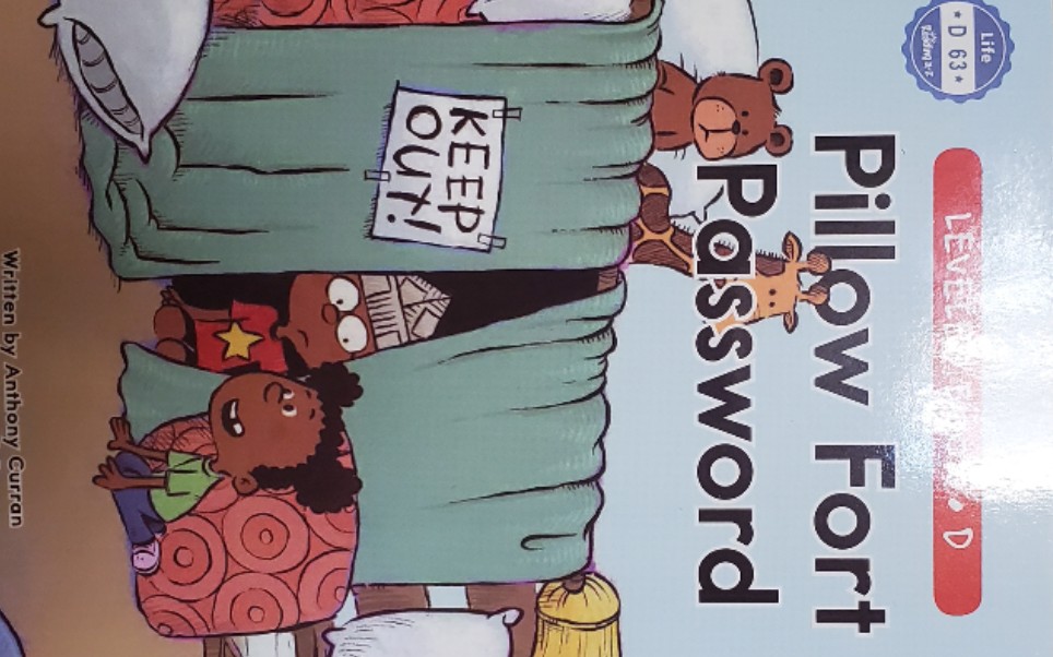 pillow fort password