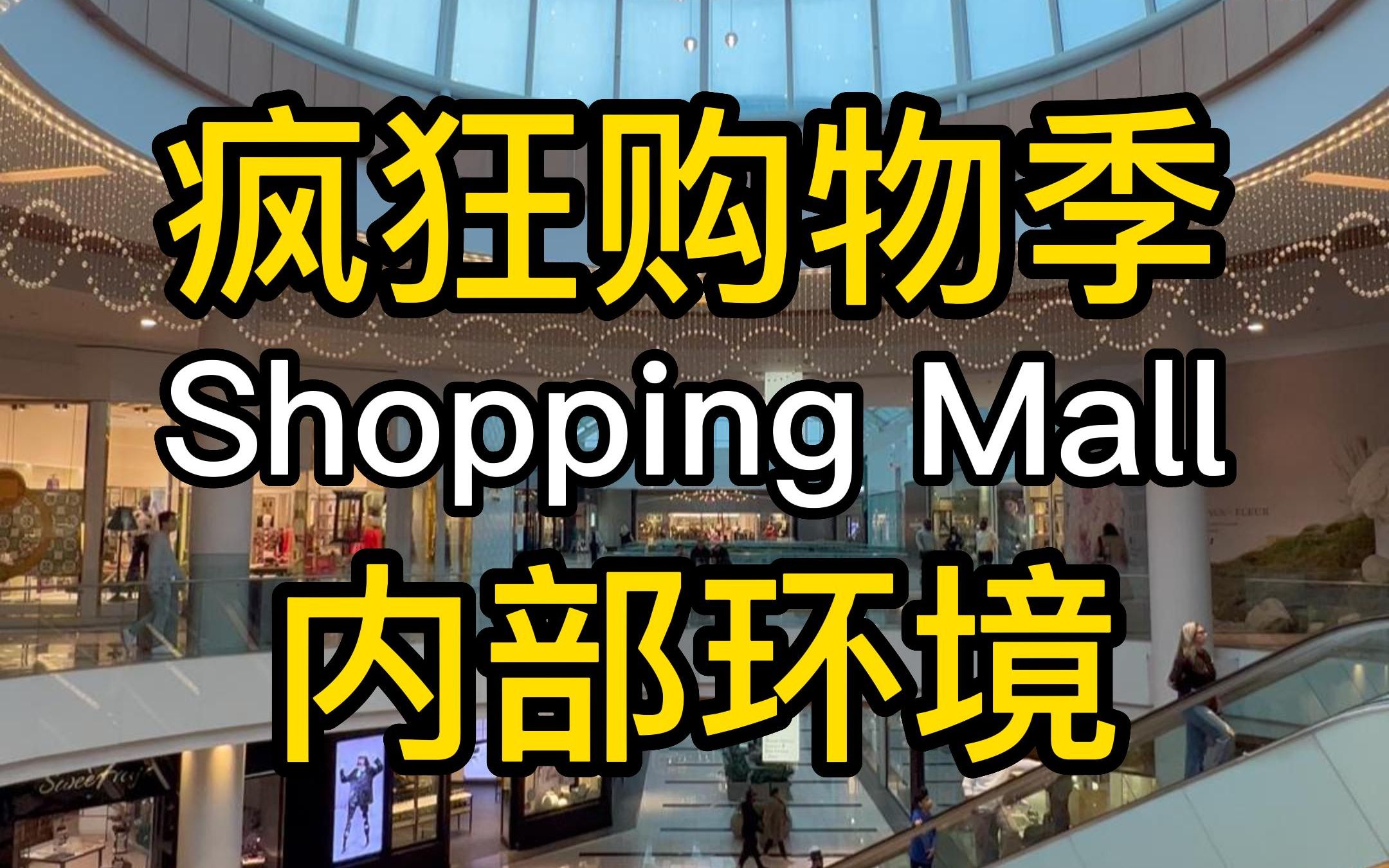 疯狂购物季之Shopping Mall(购物中心)六内部环境(待续) #购物 #购物中心 #生活 #海外生活 #海外 #美国 #纽约 #大叔 #纽约大叔 #旅游哔哩哔哩bilibili