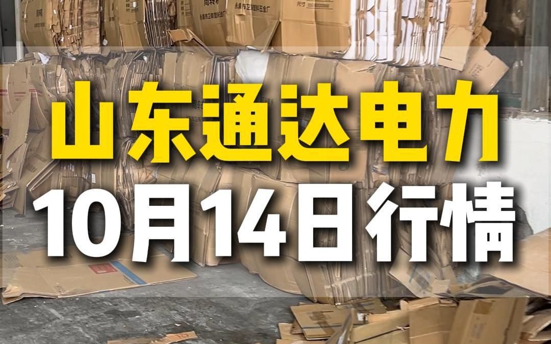 10月14日山东通达电力今日采购行情更新哔哩哔哩bilibili