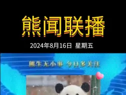 Download Video: 《熊闻联播》｜带你了解天下熊事，2024.8.16熊圈又发生了什么？（原视频素材来源网络）