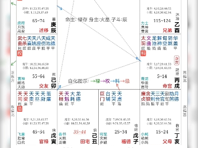 紫微星 的紫微(斗数)命盘部分解盘哔哩哔哩bilibili