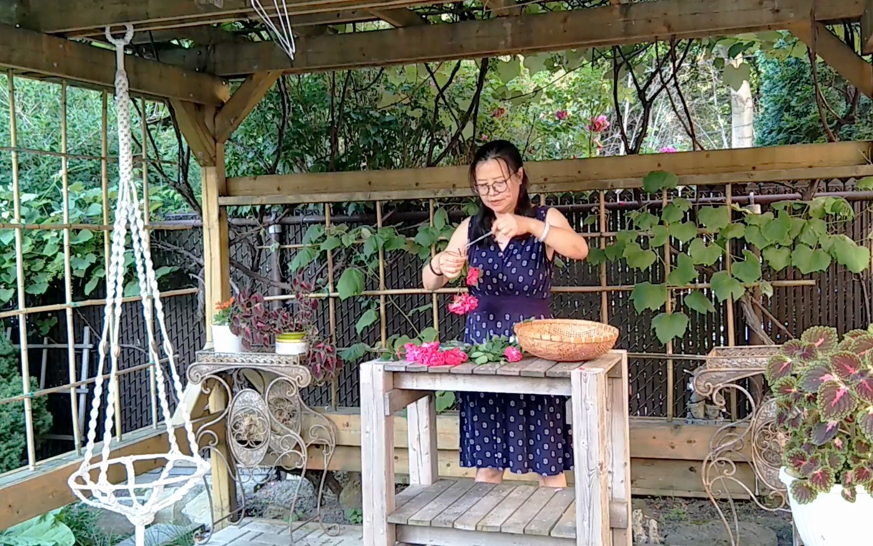 [图]玫瑰干花 让你的家里长期飘着花香和浪漫