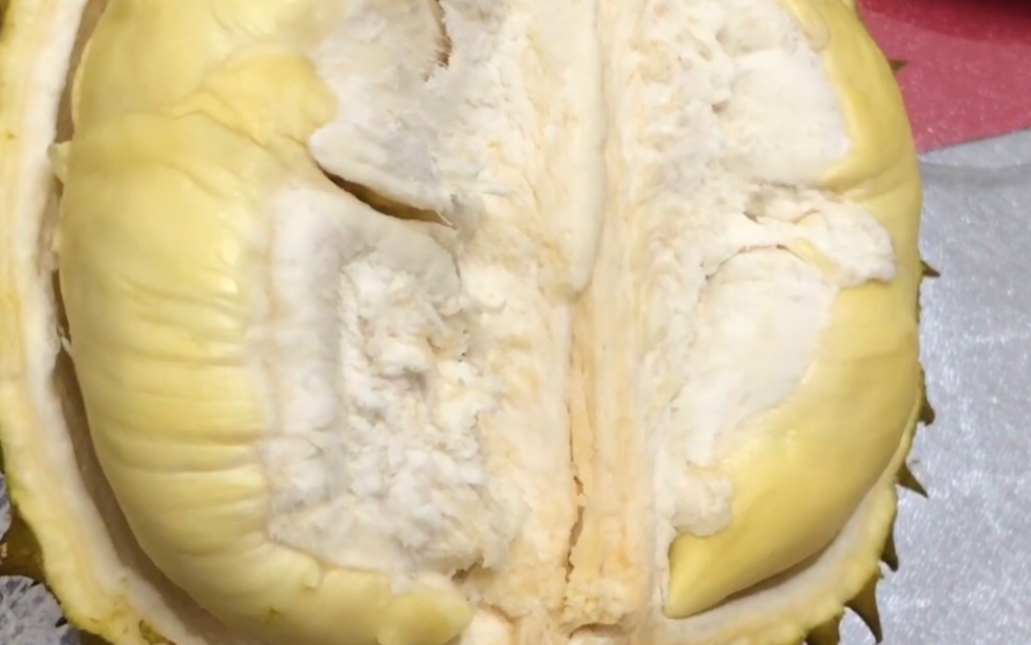 2斤多的巴掌小榴莲80块钱,开出5房肉,完美的干包,看榴莲树老师开巴掌
