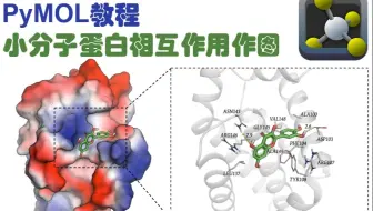 PyMOL教程-小分子蛋白互作做图