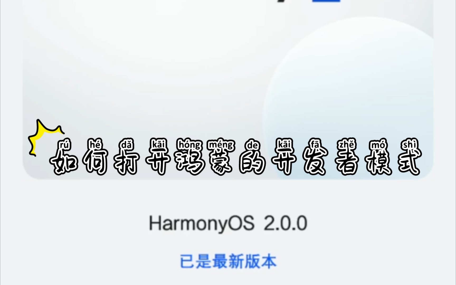 如何打开鸿蒙的开发者模式