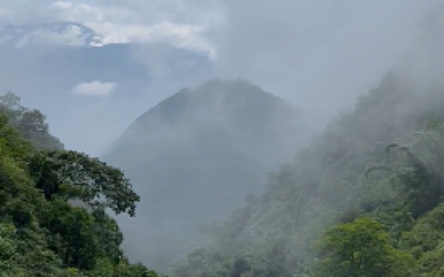 [图]哀牢山 云雾飘渺