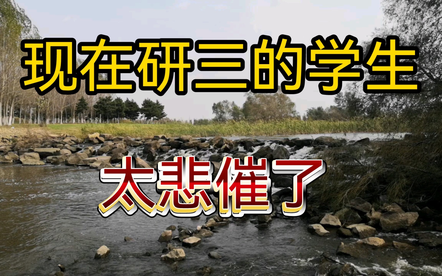 2020年入学的研究生,现在研三了,生不逢时,太悲催了.哔哩哔哩bilibili