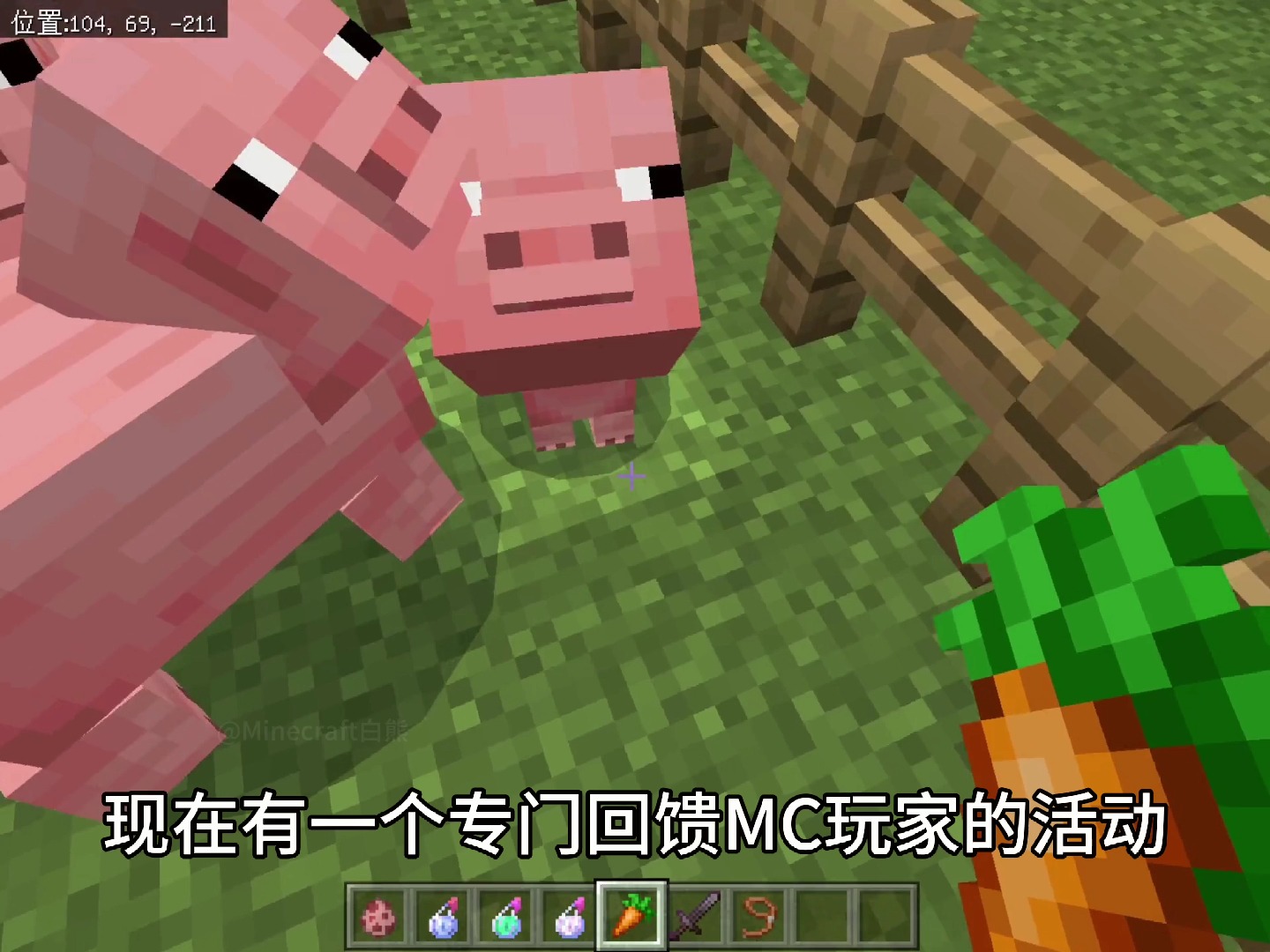 我的世界:这才是猪的正确骑行方法!