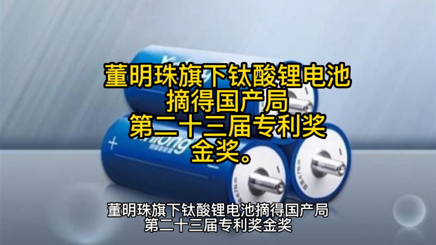 董明珠旗下钛酸锂电池摘得国产局第二十三届专利奖金奖哔哩哔哩bilibili