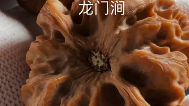 龙门涧核桃-哔哩哔哩_Bilibili