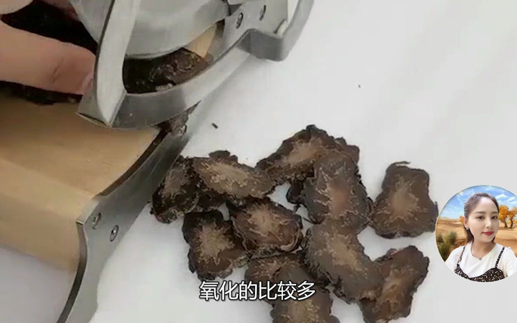 如何分辨肉苁蓉.肉苁蓉有哪些特点?哔哩哔哩bilibili