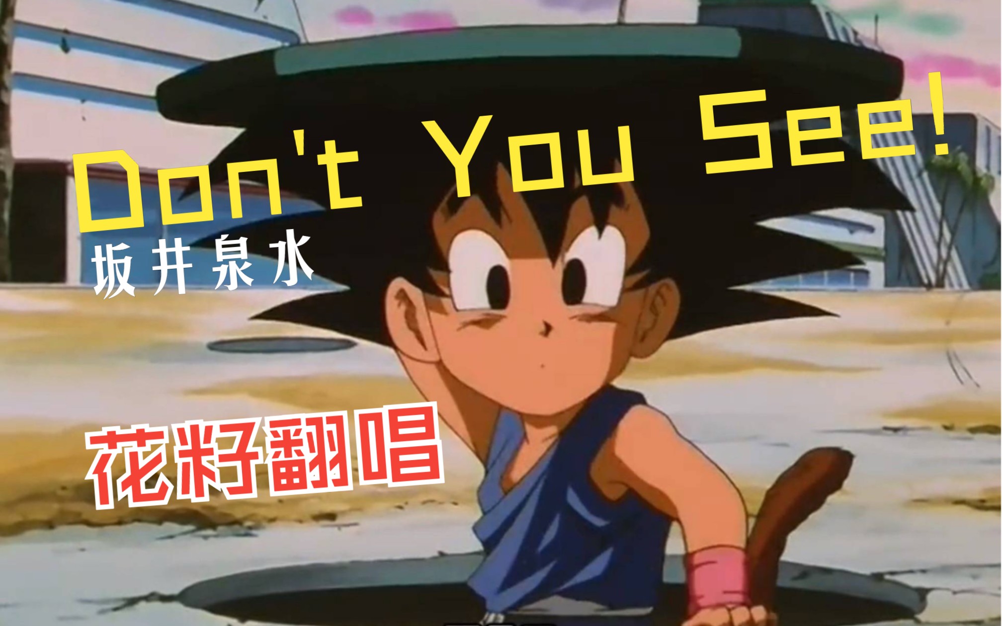 【花籽翻唱】ZARD  Don't you see!(龙珠GT ED)哔哩哔哩bilibili