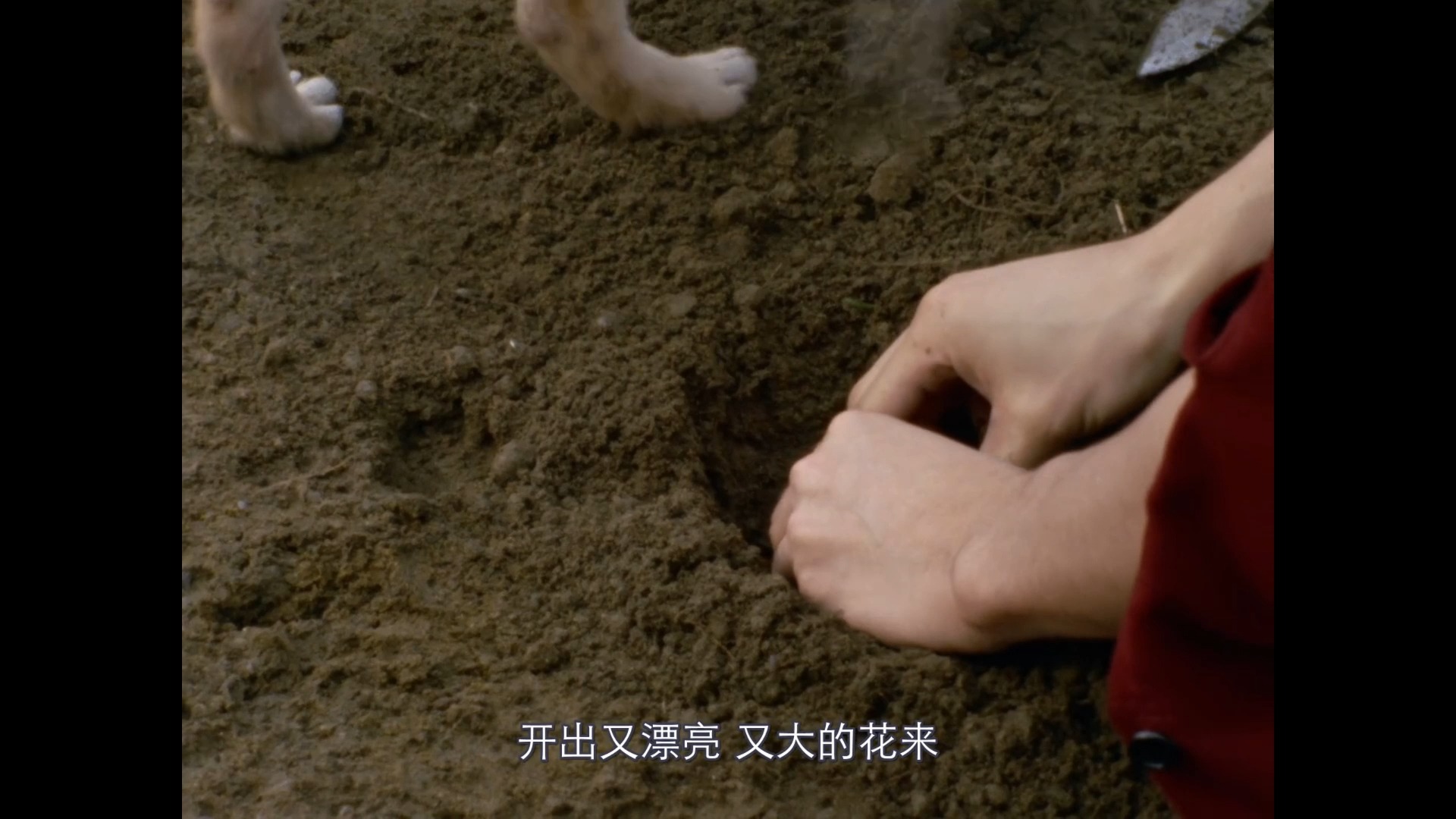 第1集 ウルトラの母は太阳のように