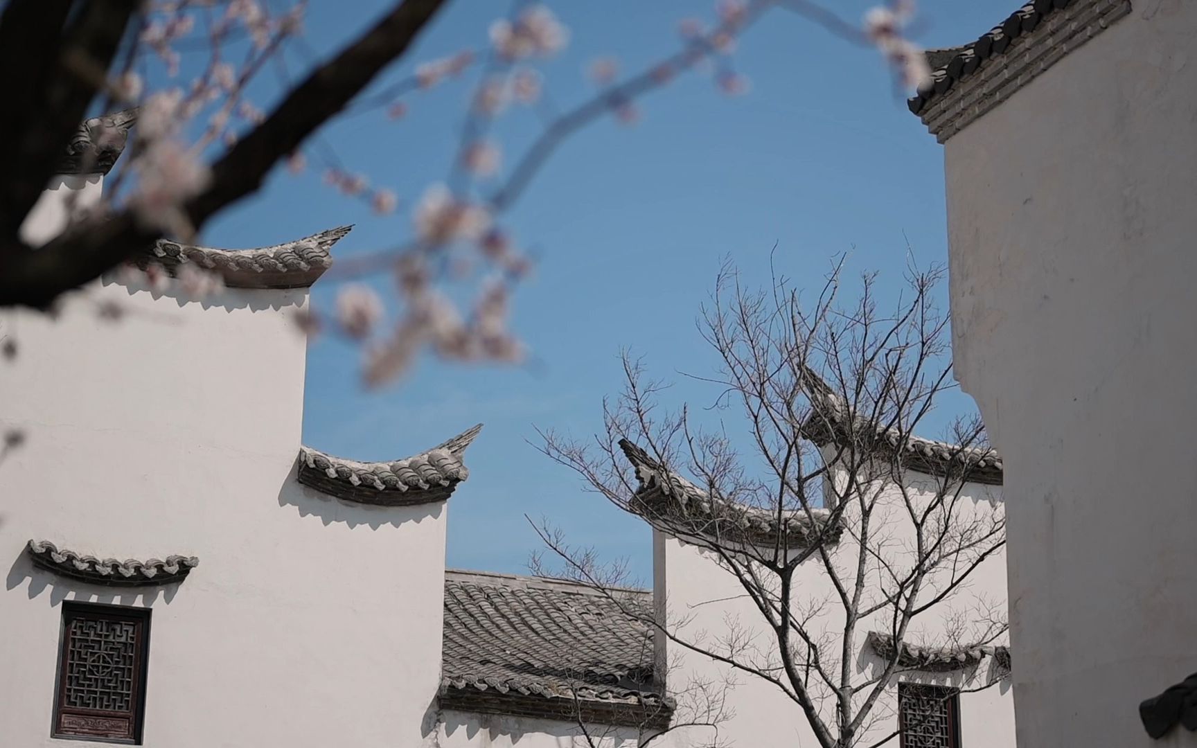 唐岛湾的南方院子给了我惊喜,行走之间不觉得累,看不够的感觉啊.