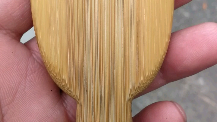 昨晚赶制的竹片弹弓