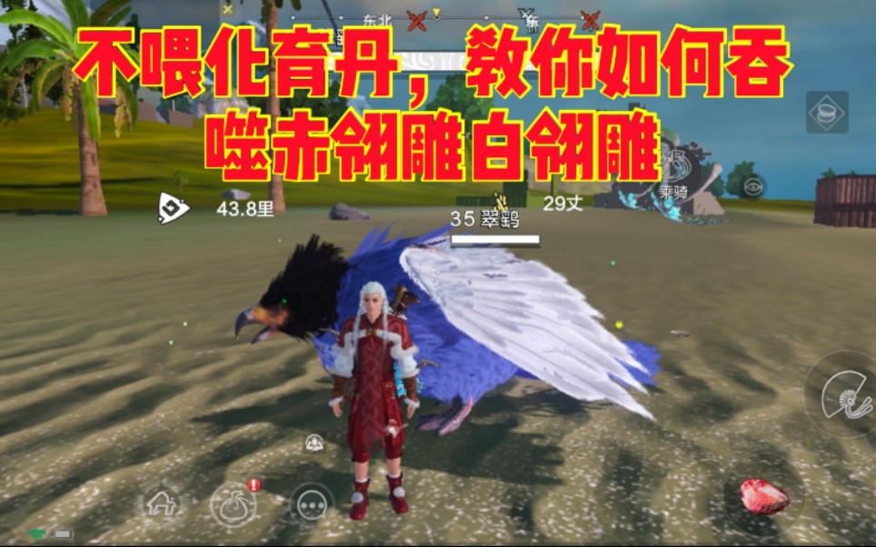 zb小小妄想山海教你不喂化育丹如何用翠鹞吞噬白雕和赤雕