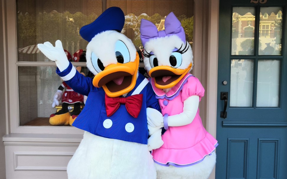 港迪的唐老鸭和daisy-是甜宝呀