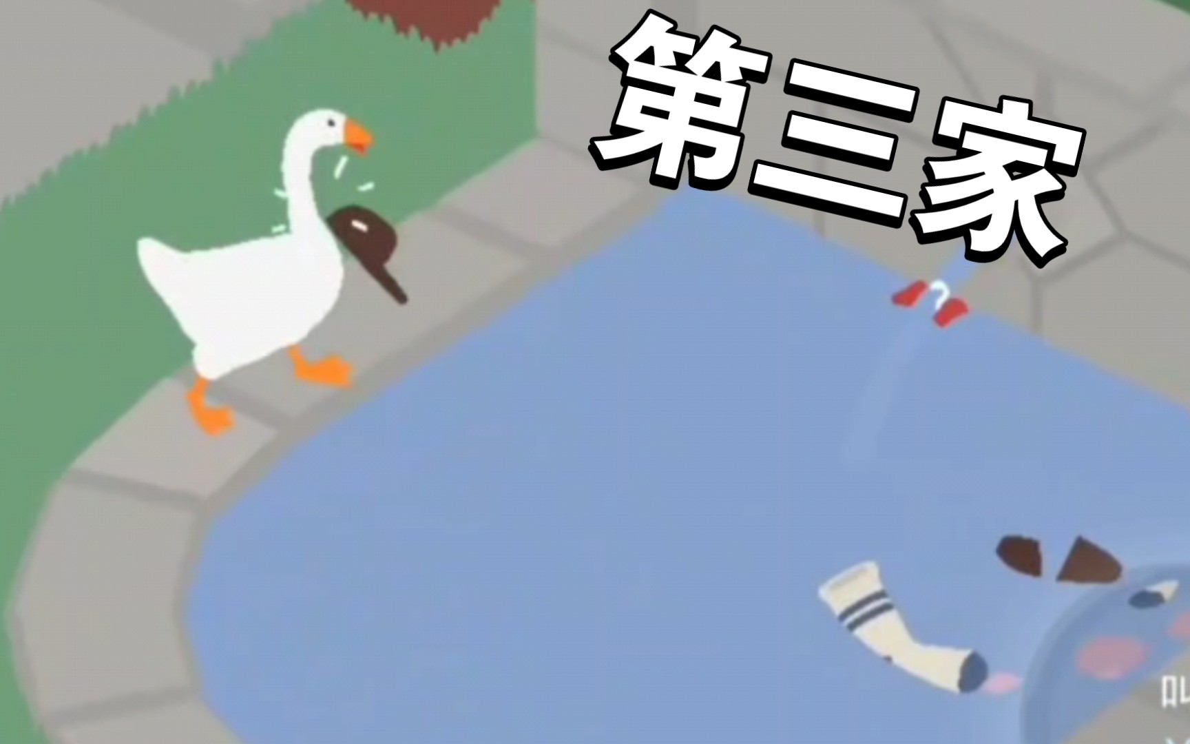 (捣蛋鹅)我是又白又嫩的小坏鹅 祸害第三家