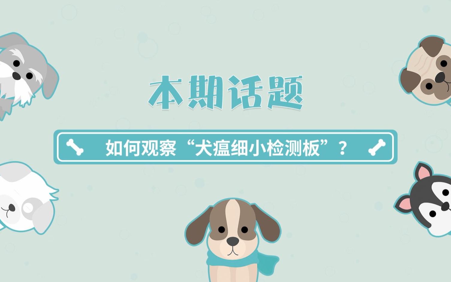 如何观察“犬瘟细小检测板”?哔哩哔哩bilibili