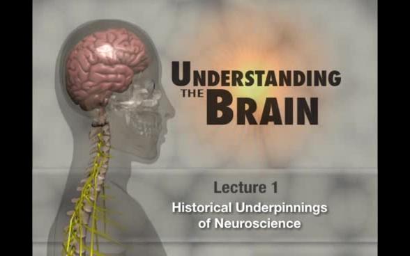 [图]【TTC讲座】解析大脑 Understanding the Brain 36集【英语】