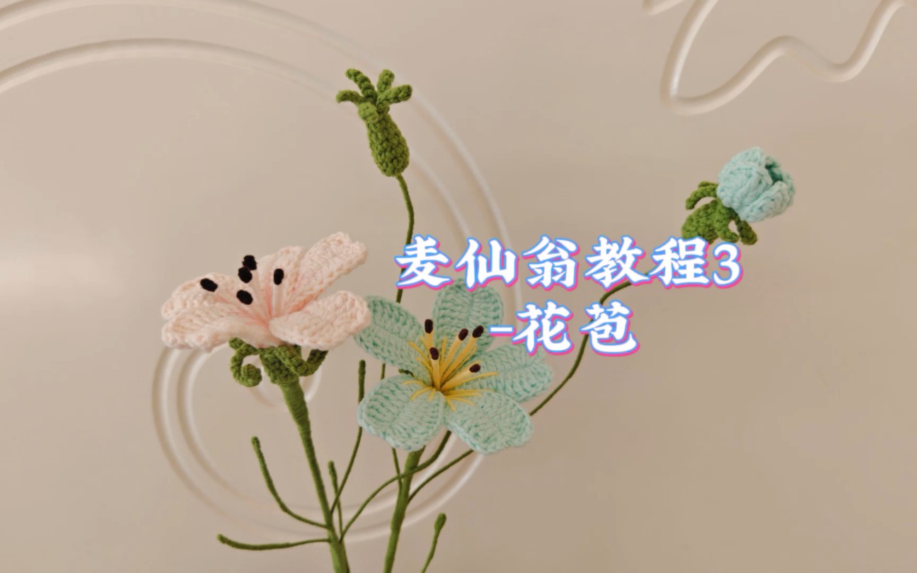 麦仙翁教程3花苞哔哩哔哩bilibili