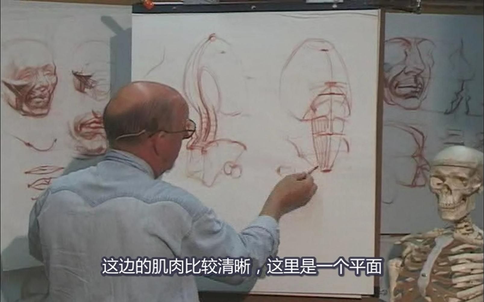 【骨盆解剖素描】9.Glenn Vilppu 经典Pelvis精细示范,中文字幕版!哔哩哔哩bilibili