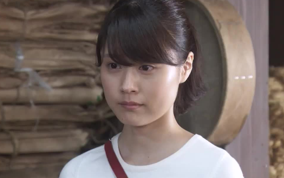 【日剧】五分钟了解《雏鸟》 第二十二周 寻找twiggy 有村架纯_哔哩