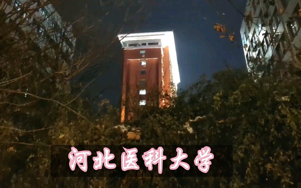 我的河北医科大学哔哩哔哩bilibili