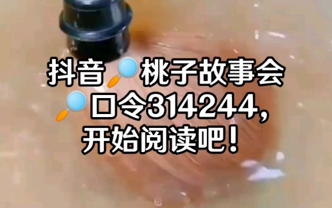 抖音 桃子故事会 口令314244,开始阅读吧!哔哩哔哩bilibili