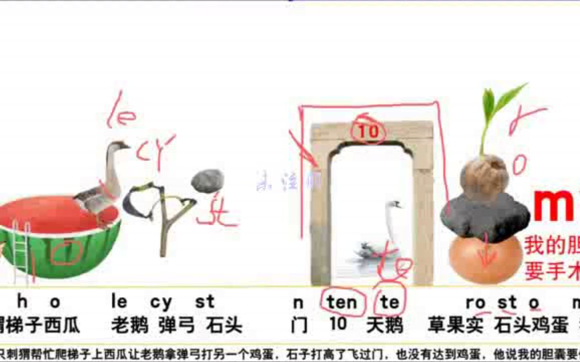 超长单词记忆训练(2)记忆传授人记忆方法哔哩哔哩bilibili