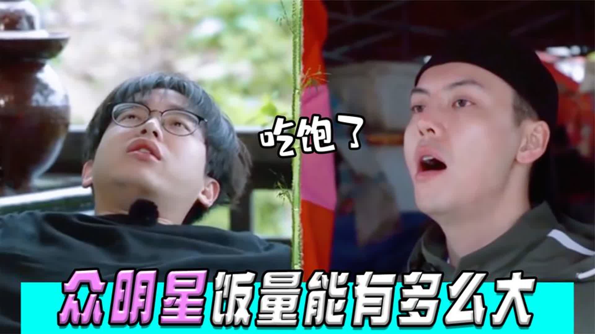众明星饭量能有多大?宋轶对肥肉爱不释手,鹿晗饭量惊呆何炅黄磊