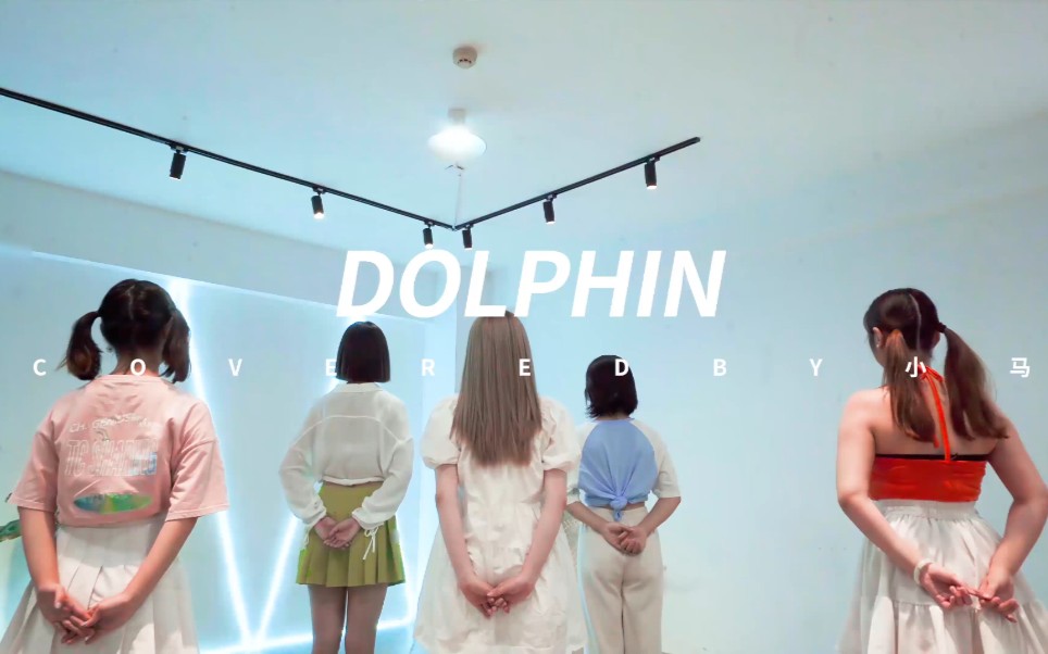 『Dolphin』哔哩哔哩bilibili