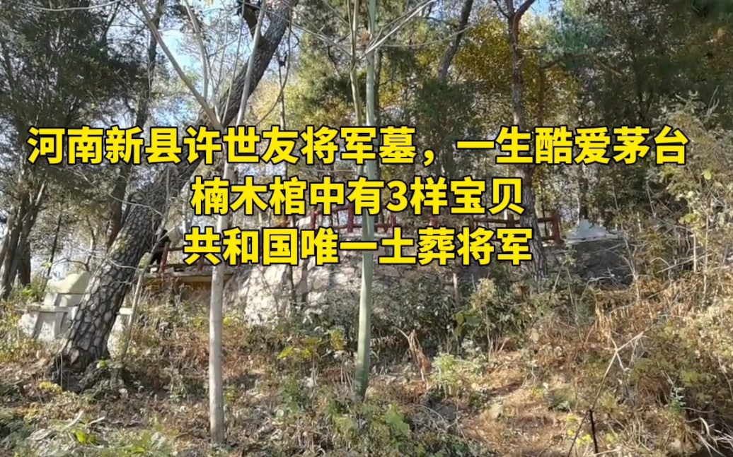 河南新县许世友将军墓,楠木棺中有3样宝贝?共和国唯一土葬将军哔哩哔哩bilibili