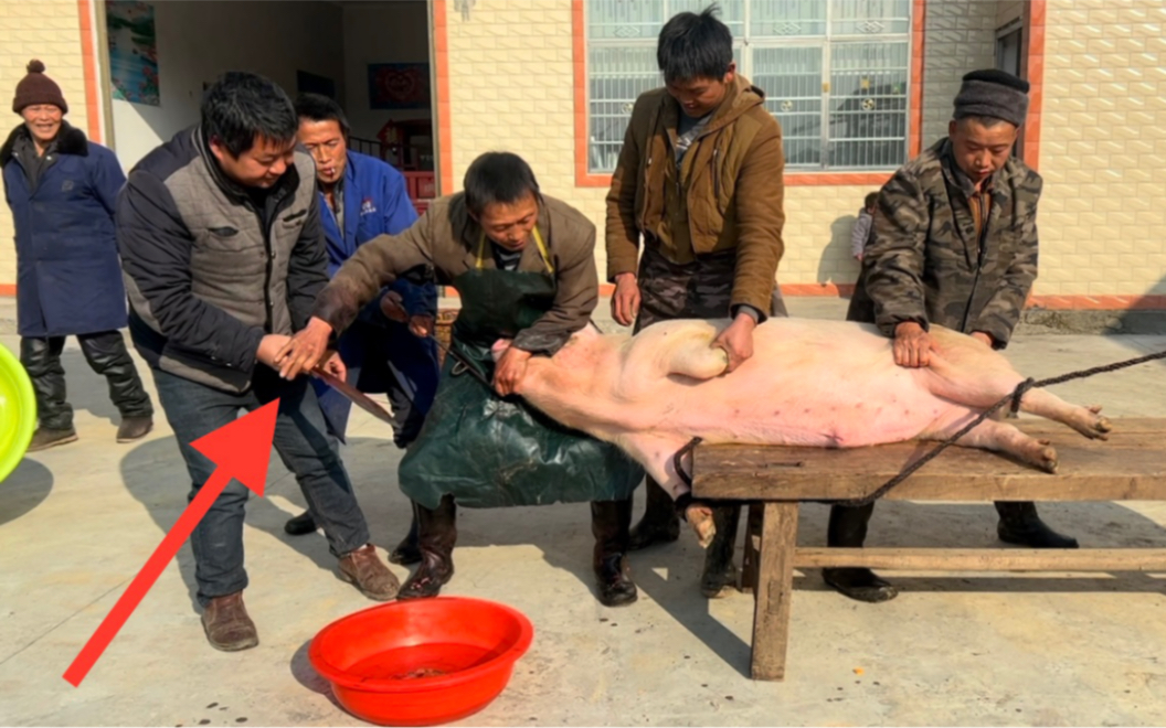 [图]湘北第一刀杀猪界的扛把子 刀法精湛 这招滴血不漏太考验刀法了