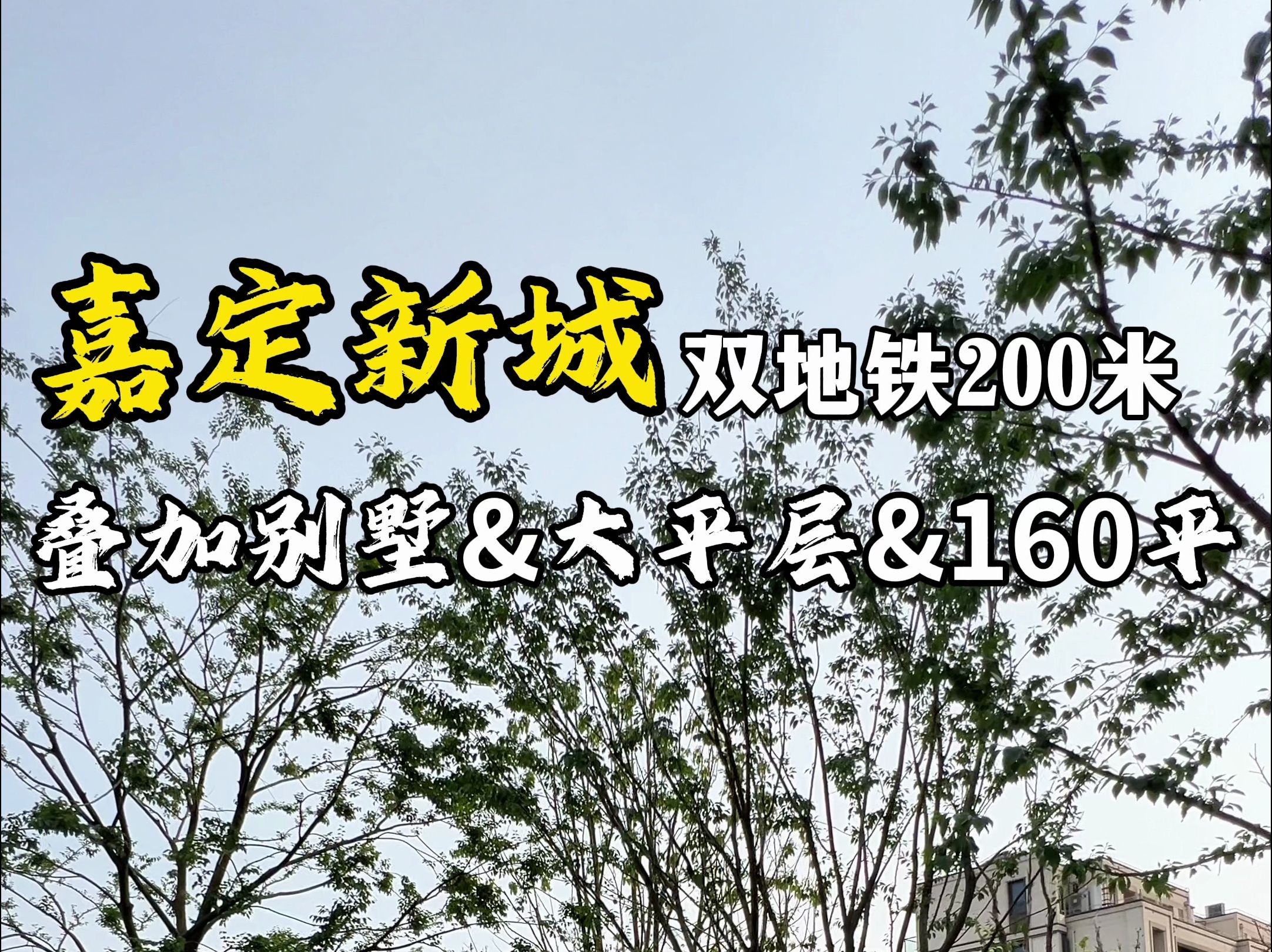 嘉定新城双地铁口精装叠墅&大平层,8站大虹桥!嘉宝智慧湾科创风口!哔哩哔哩bilibili