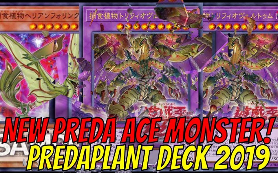 ygolite捕食植物卡组62019