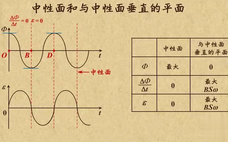 中性面和垂直中性面图片