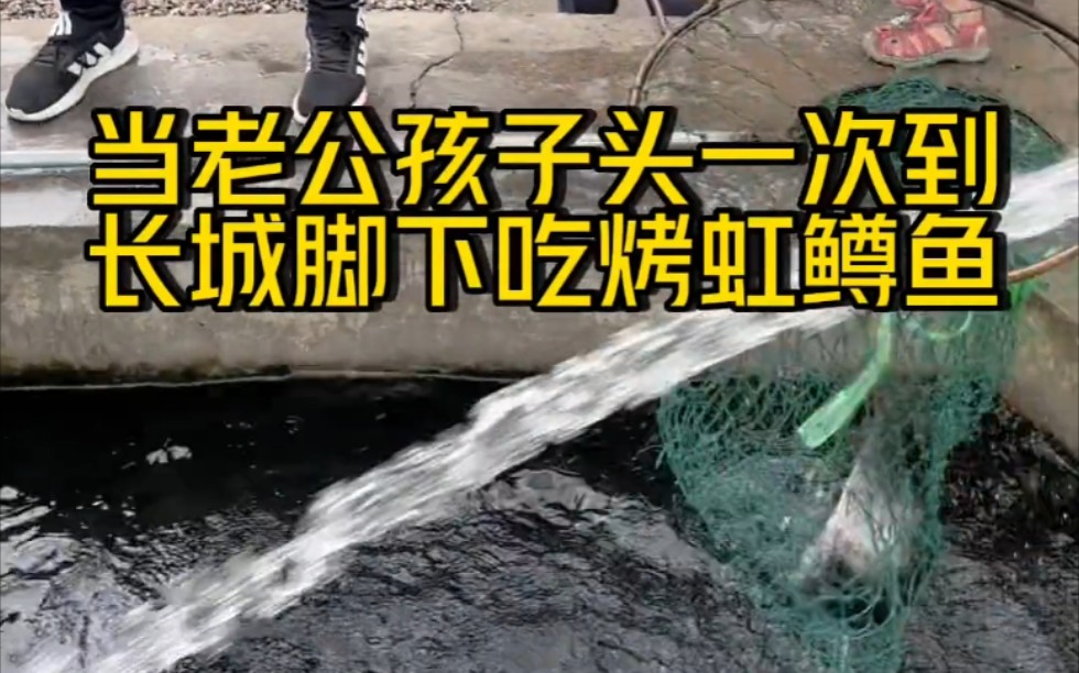 今天全家一起爬长城,正好先带家人去长城脚下尝尝北京有名的烤虹鳟.农家乐老板都说我孩子在中国会很胖的,估计吃完以后回美国爷爷奶奶都不认识了....