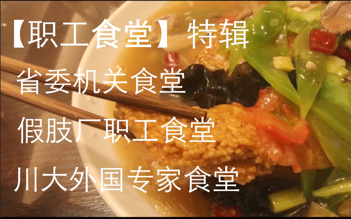 【成都职工食堂特辑】川大外国专家食堂、省委机关食堂、假肢厂职工食堂哔哩哔哩bilibili