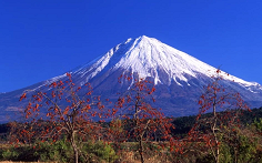 [图]日本极简史（合集）