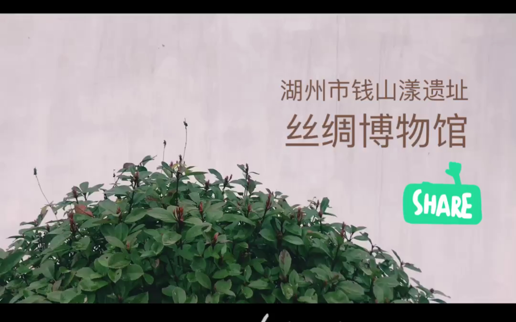 【lizzie蓓】博物馆小白/湖州市钱山漾丝绸博物馆里究竟有多美?