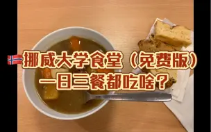 Download Video: 挪威大学食堂的一日三餐（免费版）