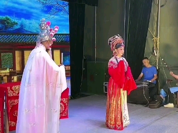 庐剧《打金枝》夏巧云刘长芬闫永林2