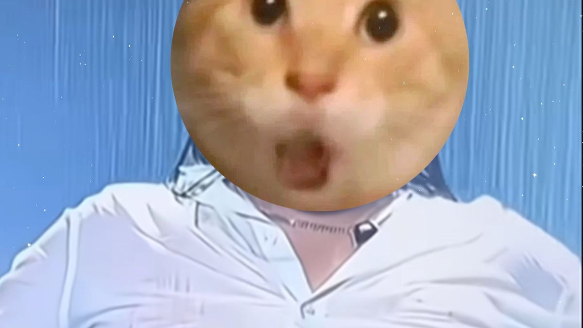 🐱还是会想你,还是想哈你🐱