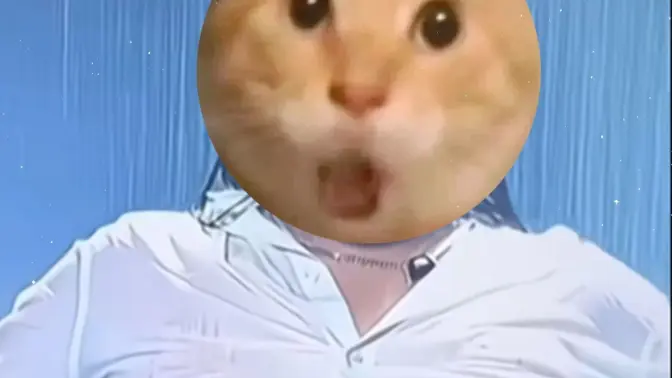 🐱还是会想你，还是想哈你🐱