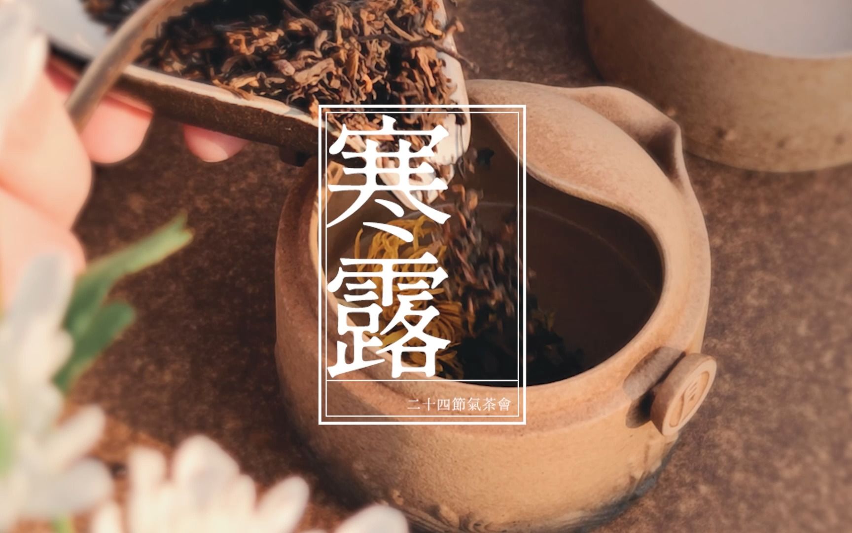 寒露 | 品陈茶感霜寒露重 看夕阳照回龙明珠