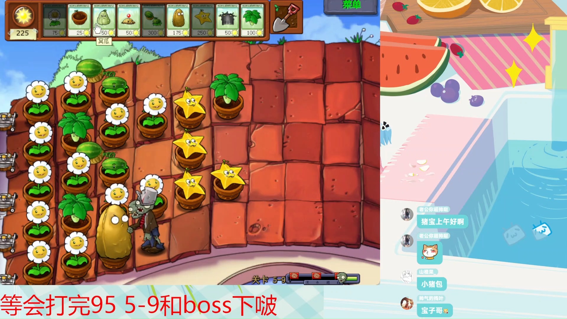 植物大战僵尸95版 冒险模式5-9实况录屏